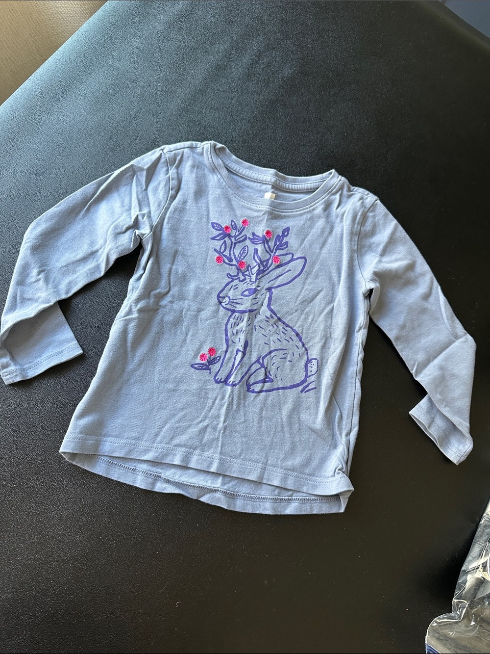 Tea Collection Light Blue Long-Sleeve Tee with Purple Bunny and Pink Accents